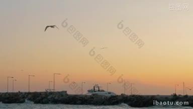 慢动作镜头，海浪碾压岩石码头的码头与以下观点的<strong>海鸥</strong>对日落